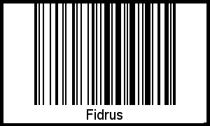 Interpretation von Fidrus als Barcode