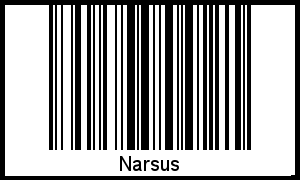 Interpretation von Narsus als Barcode