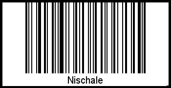 Interpretation von Nischale als Barcode