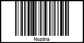 Der Voname Nozdria als Barcode und QR-Code