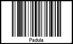 Der Voname Padula als Barcode und QR-Code