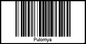 Interpretation von Pulomya als Barcode