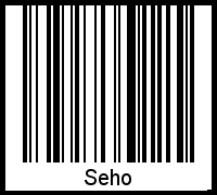 Barcode-Grafik von Seho