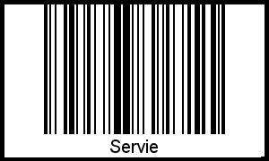 Servie als Barcode und QR-Code