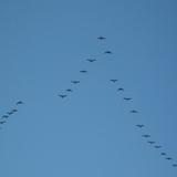 Hebamme Katharina Schlieker