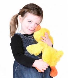 Teaserbild zu Die Kuscheltiere