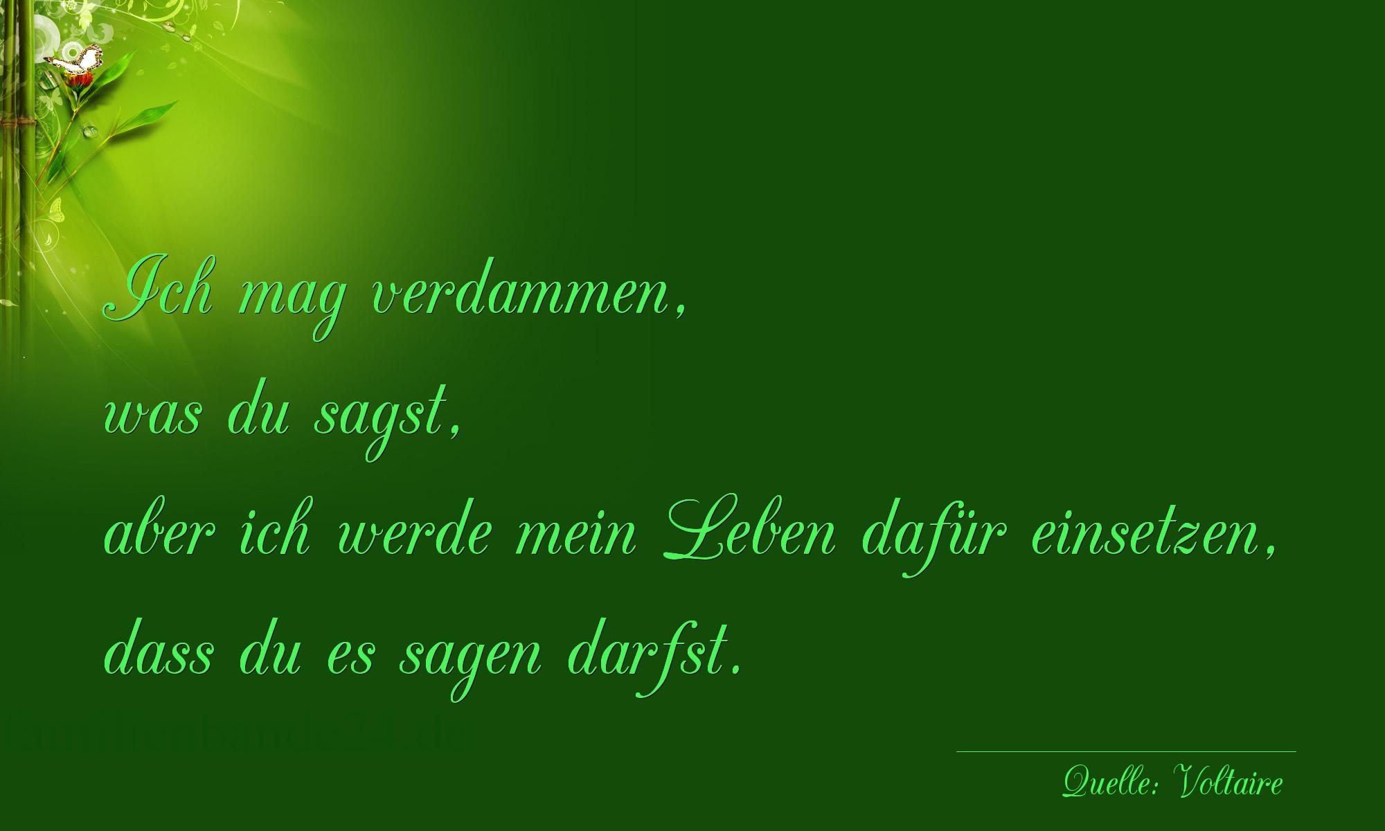 Aphorismus Nummer 1212 (von Voltaire): "Ich mag verdammen, was du sagst, aber ich werde mein Lebe [...]