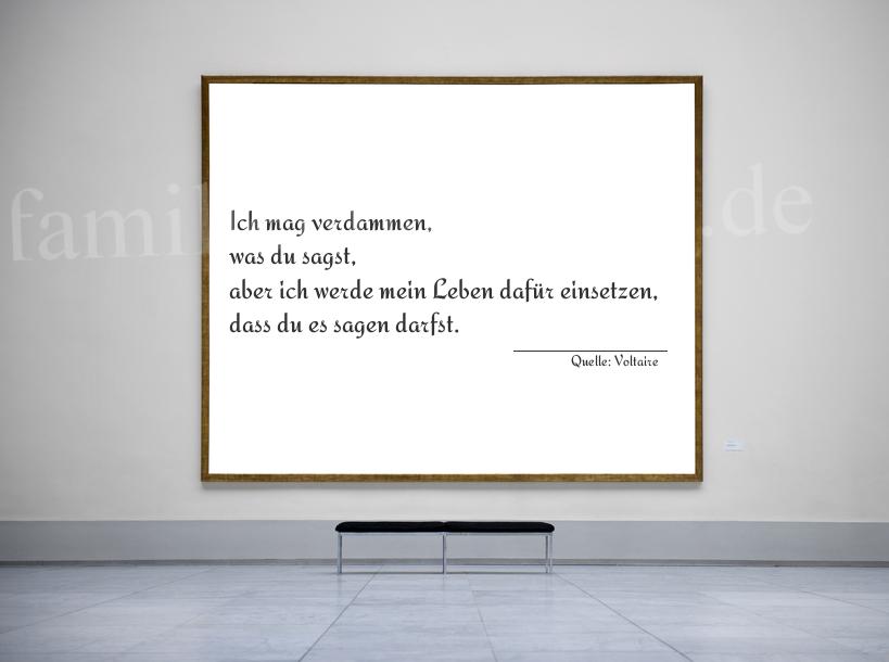 Aphorismus Nr. 1212 (von Voltaire): "Ich mag verdammen, was du sagst, aber ich werde mein Lebe [...]