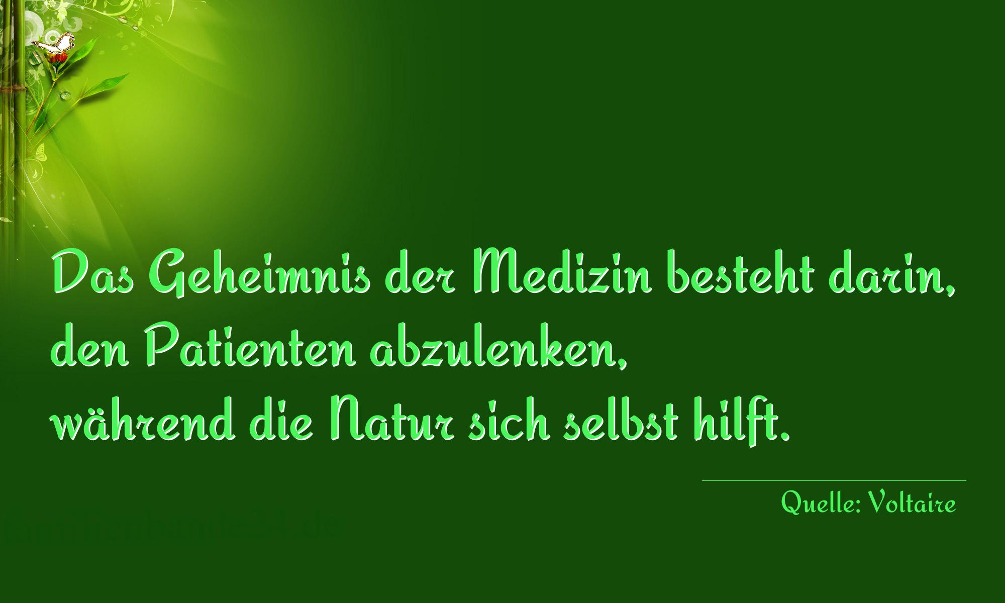 Aphorismus Nr. 1229 (von Voltaire): "Das Geheimnis der Medizin besteht darin, den Patienten ab [...]