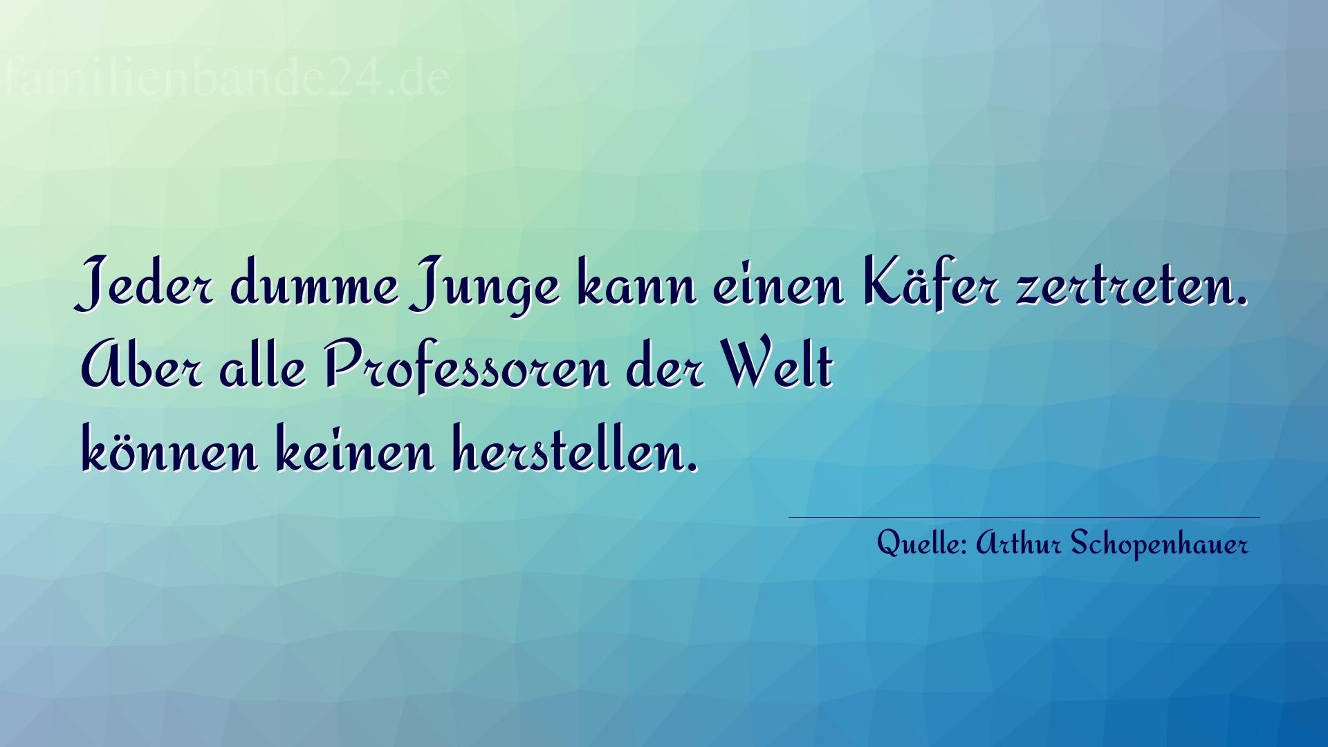 Aphorismus Nr. 1306 (von Arthur Schopenhauer): "Jeder dumme Junge kann einen Käfer zertreten. Aber alle  [...]