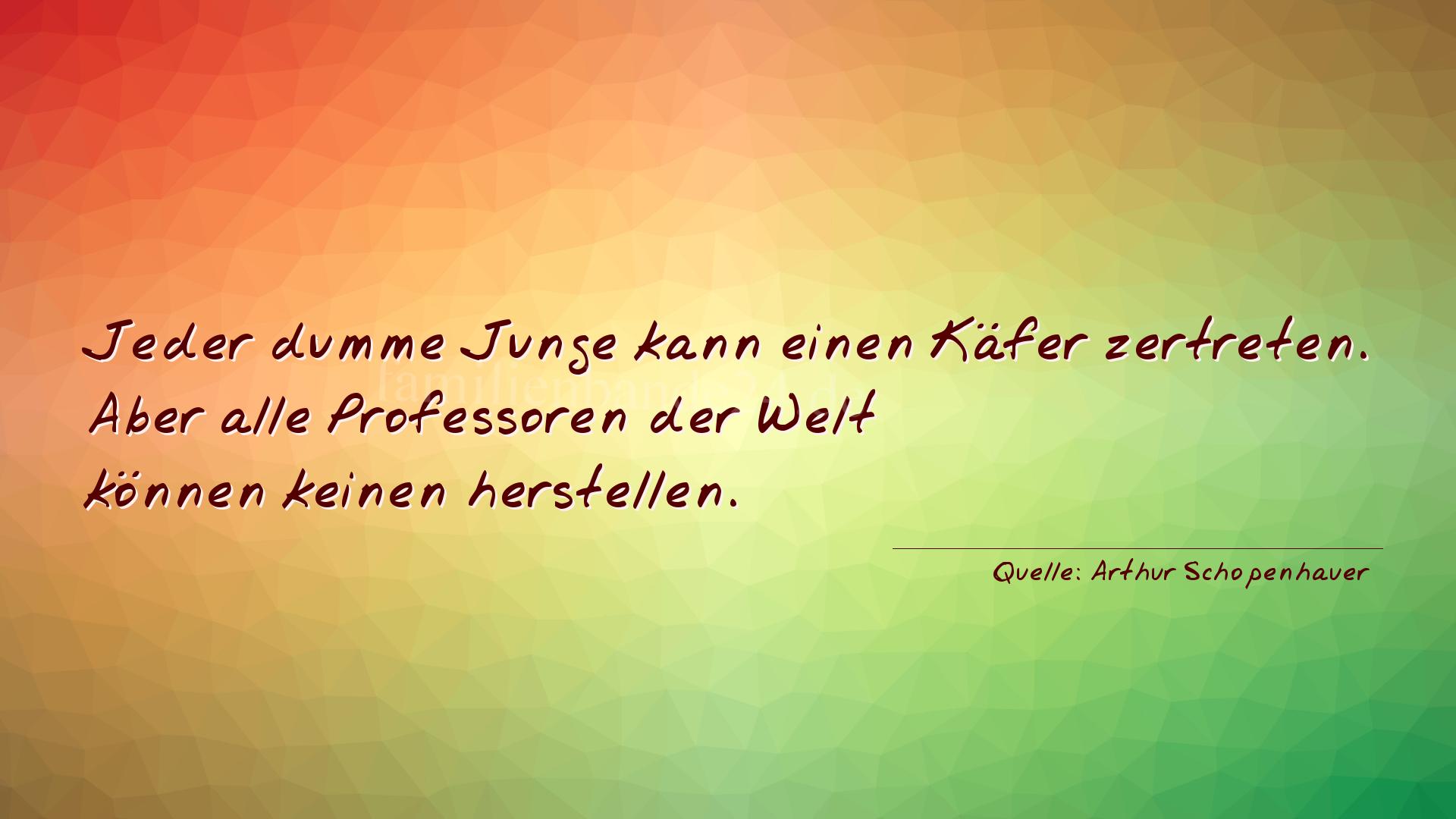 Aphorismus Nummer 1306 (von Arthur Schopenhauer): "Jeder dumme Junge kann einen Käfer zertreten. Aber alle  [...]