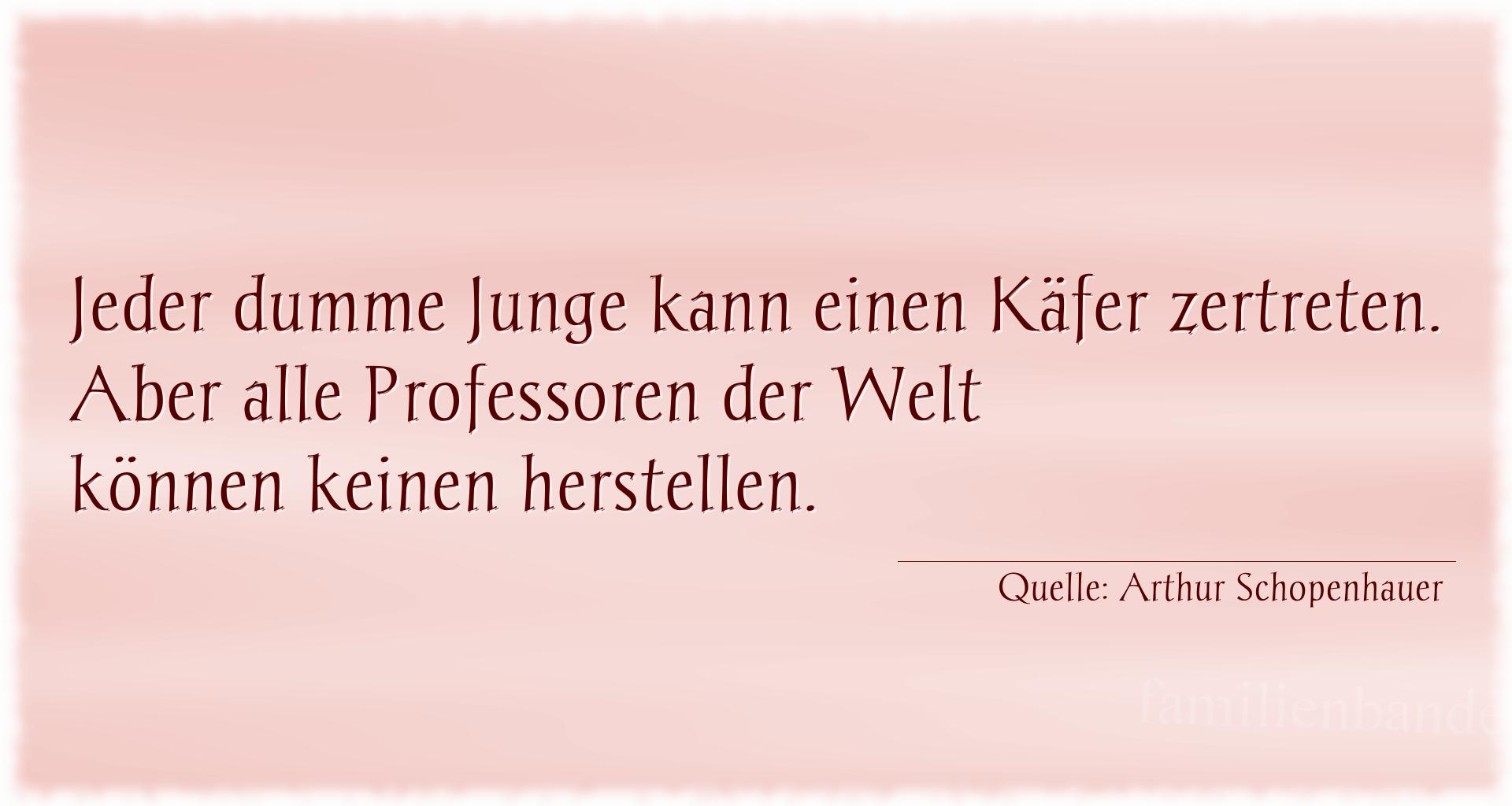 Aphorismus Nr. 1306 (von Arthur Schopenhauer): "Jeder dumme Junge kann einen Käfer zertreten. Aber alle  [...]