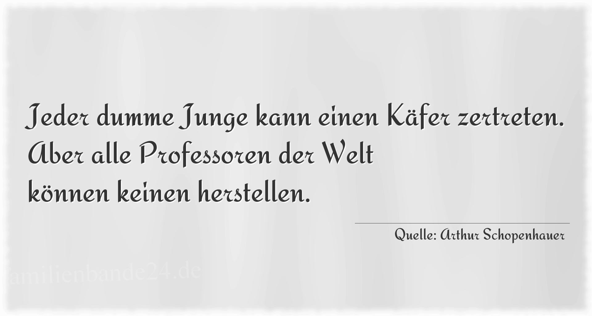 Aphorismus Nr. 1306 (von Arthur Schopenhauer): "Jeder dumme Junge kann einen Käfer zertreten. Aber alle  [...]