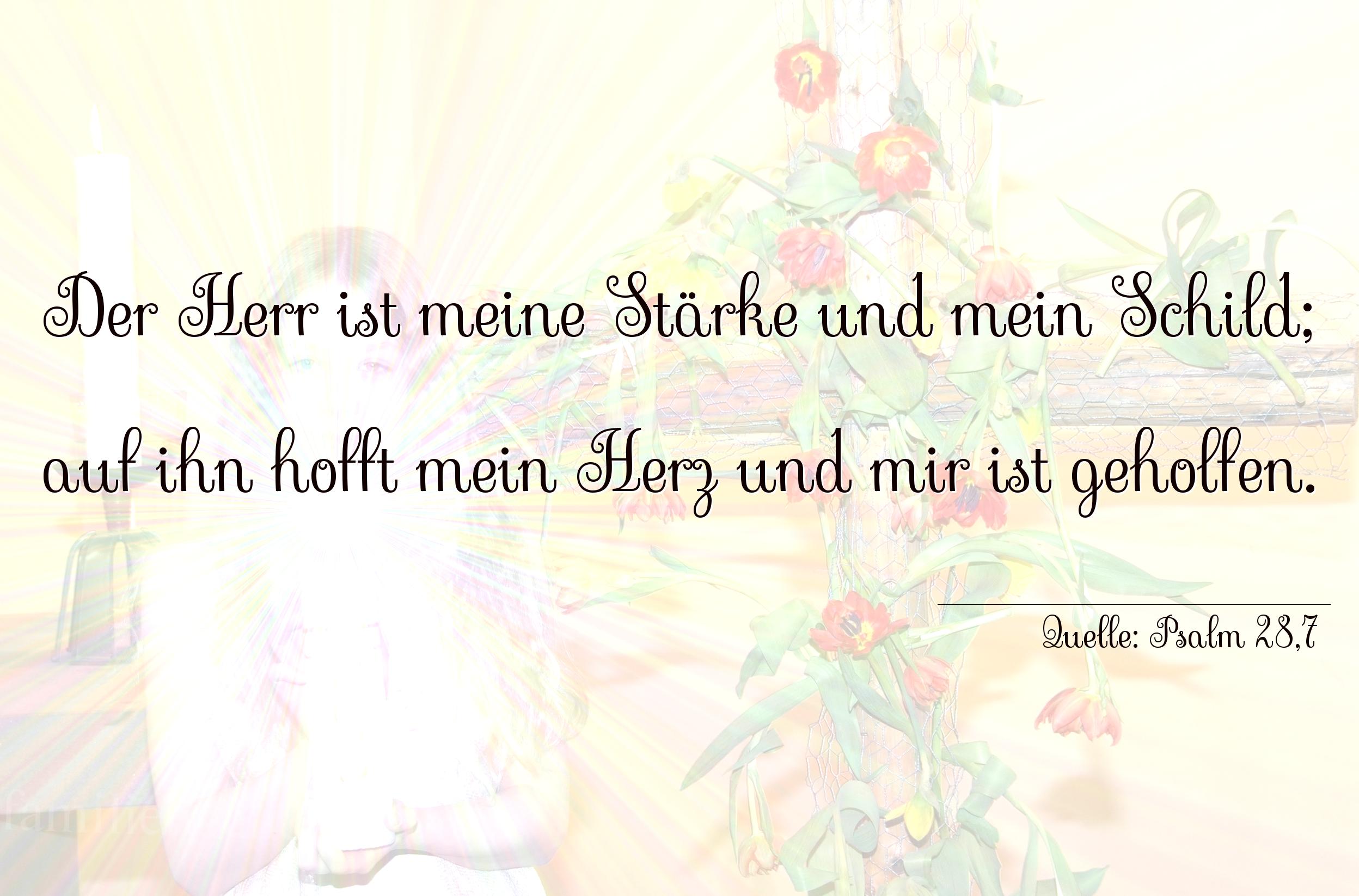 Taufspruch Nr. 166 (von Psalm 28,7): Der Herr ist meine Stärke und mein Schild; auf ihn hofft  [...]