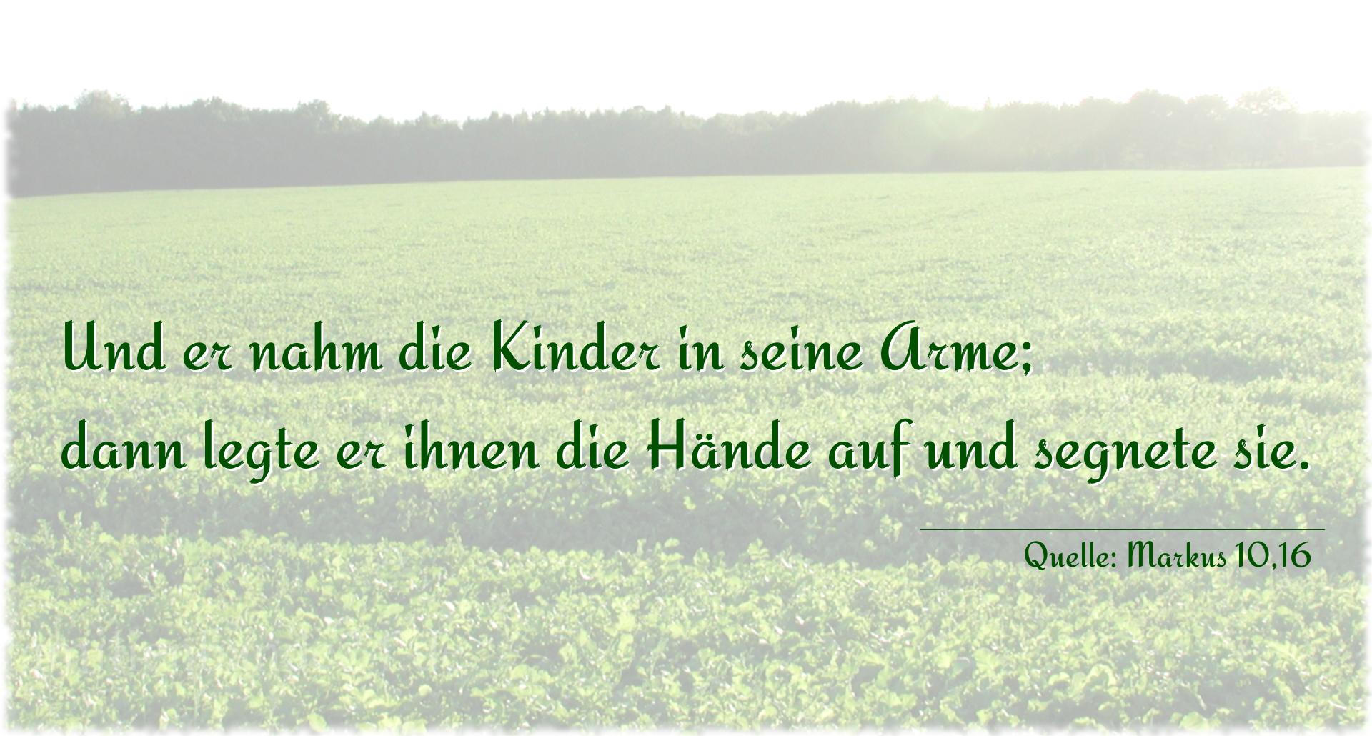 Taufspruch Nummer 178 (von Markus 10,16): Und er nahm die Kinder in seine Arme;
dann legte er ihnen  [...]