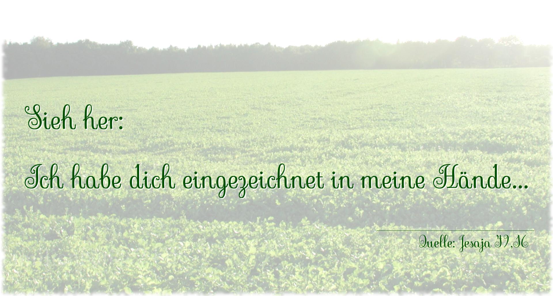 Taufspruch Nr. 183 (von Jesaja 49,16): Sieh her: Ich habe dich eingezeichnet in meine Hände... 