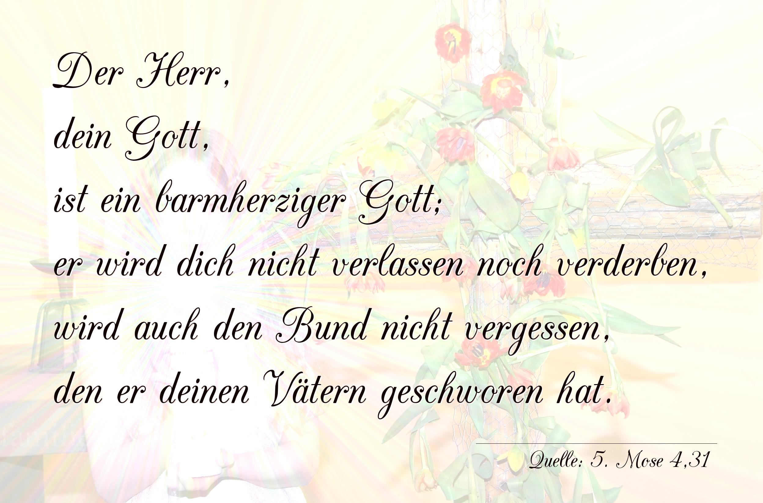 Taufspruch Nr. 187 (von 5. Mose 4,31): Der Herr, dein Gott, ist ein barmherziger Gott;
er wird di [...]