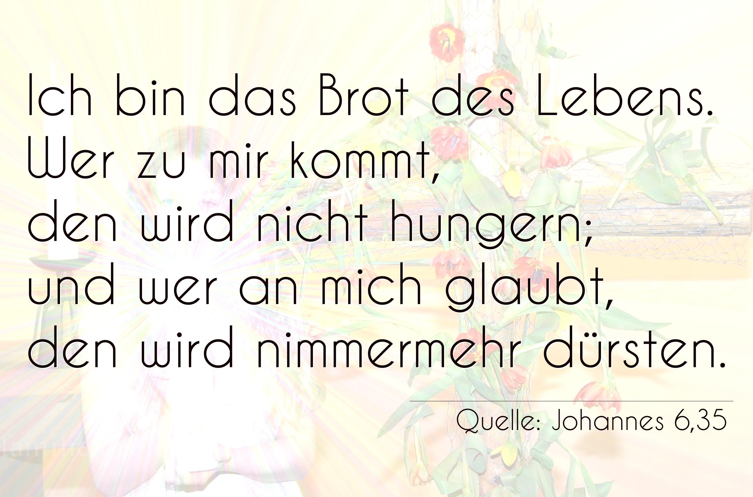 Voransicht Foto  für Taufspruch  Nummer 209  (von Johannes 6,35)