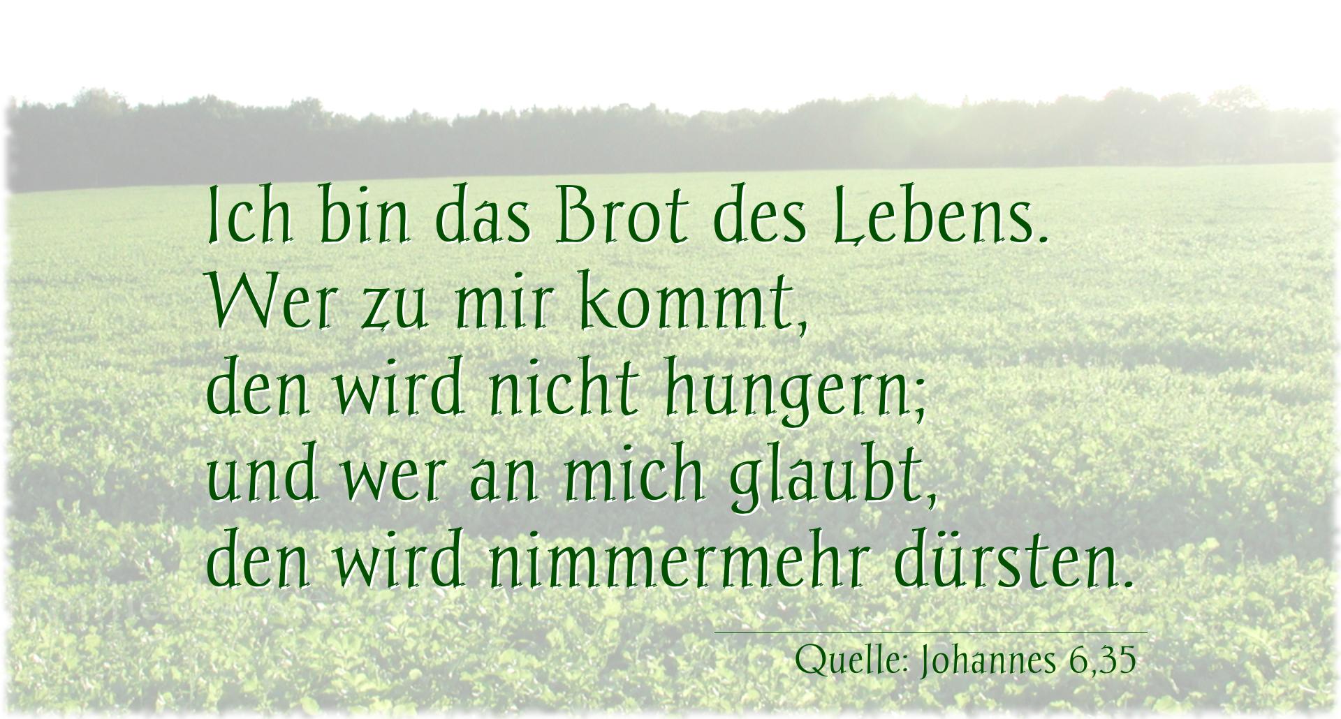 Vorschaubild  zu Taufspruch  Nummer 209  (von Johannes 6,35)