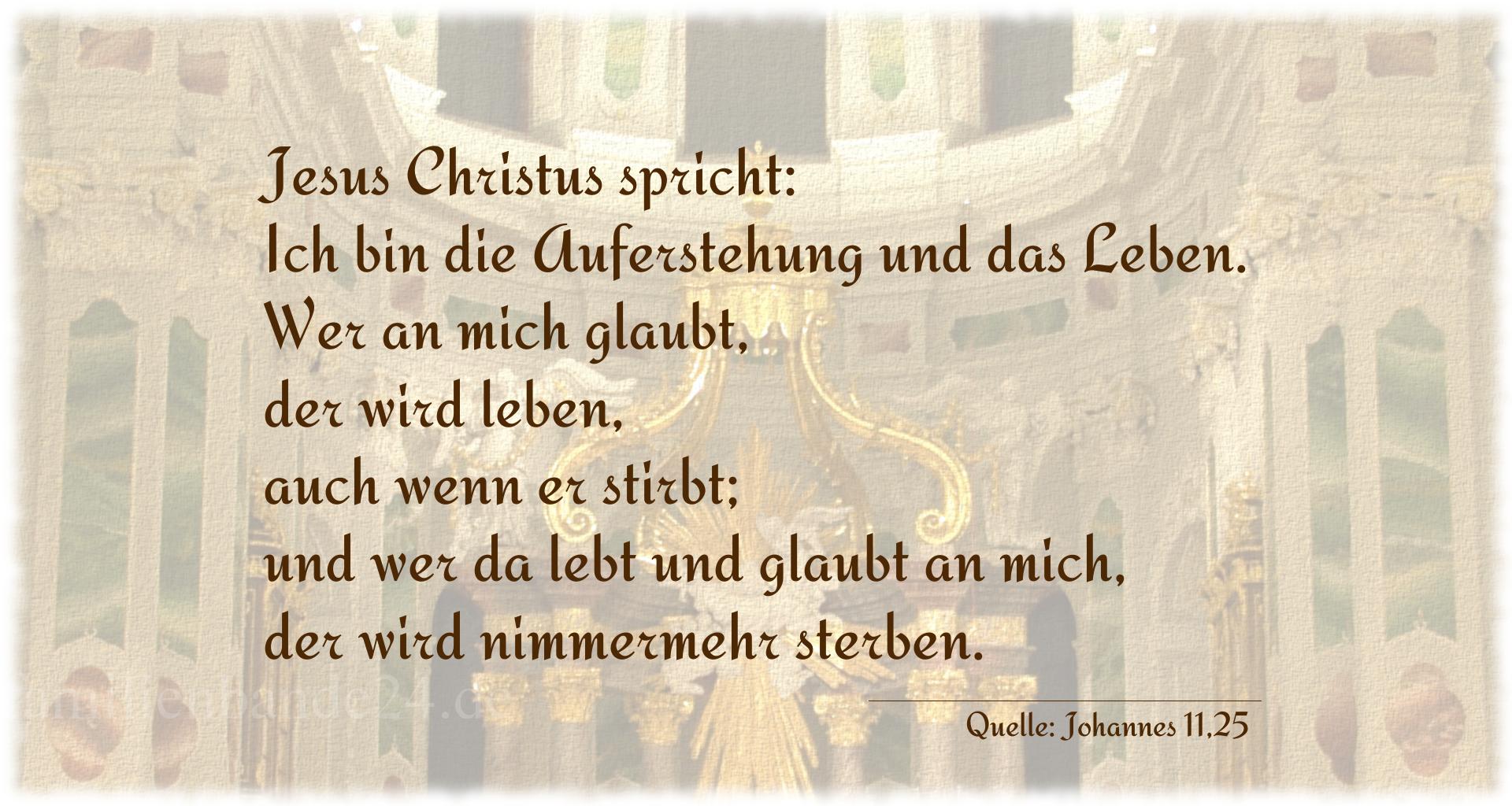 Taufspruch Nummer 210 (von Johannes 11,25): Jesus Christus spricht: Ich bin die Auferstehung und das L [...]