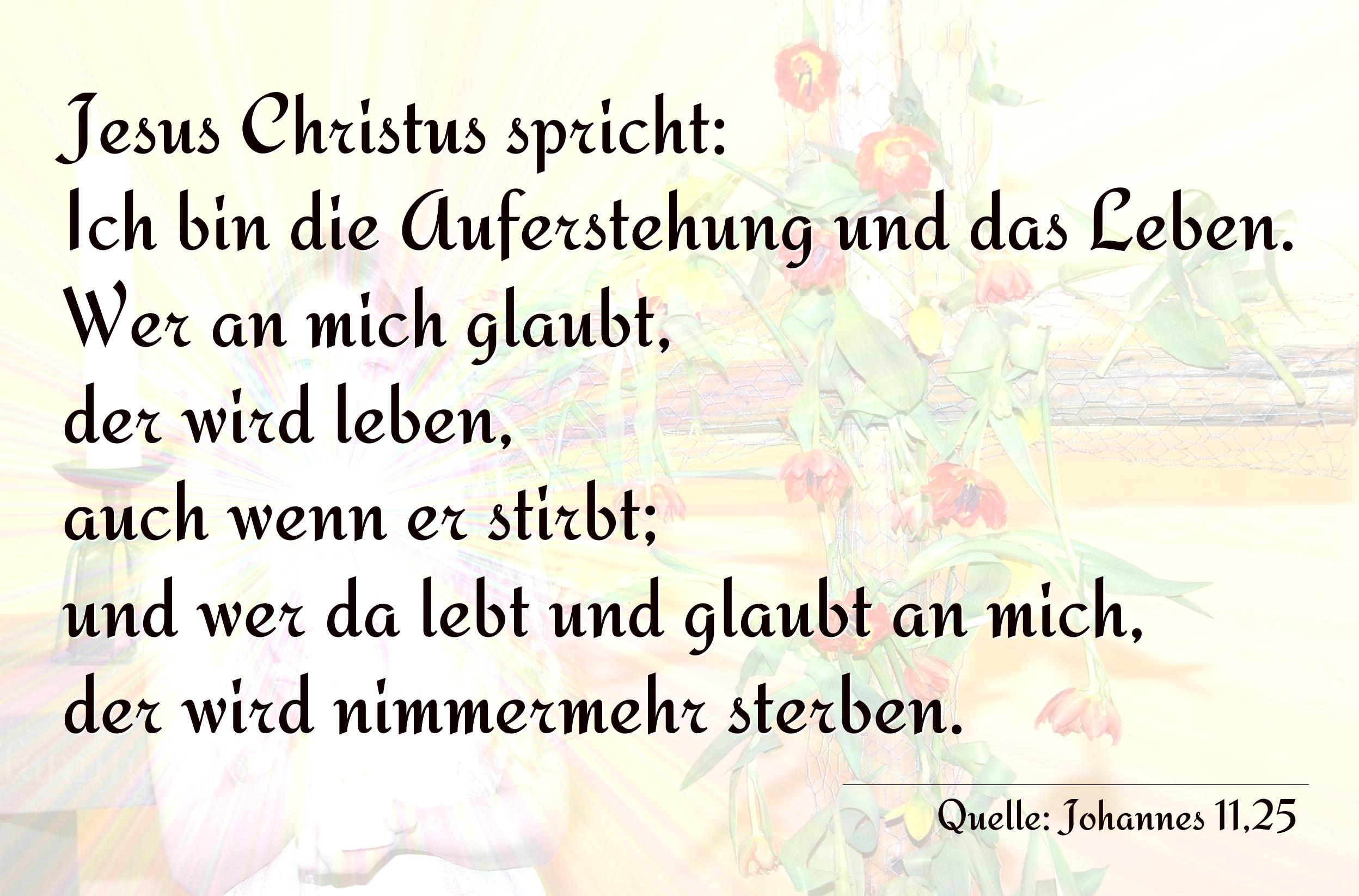 Taufspruch Nummer 210 (von Johannes 11,25): Jesus Christus spricht: Ich bin die Auferstehung und das L [...]