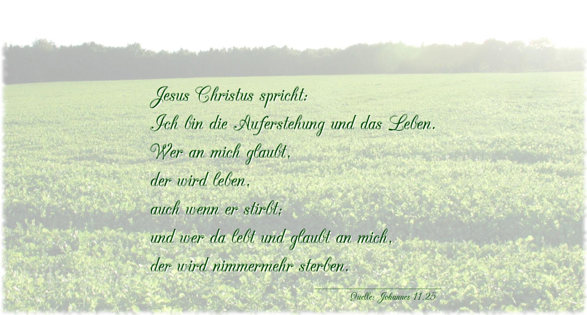 Thumbnail  zu Taufspruch  Nummer 210  (von Johannes 11,25)