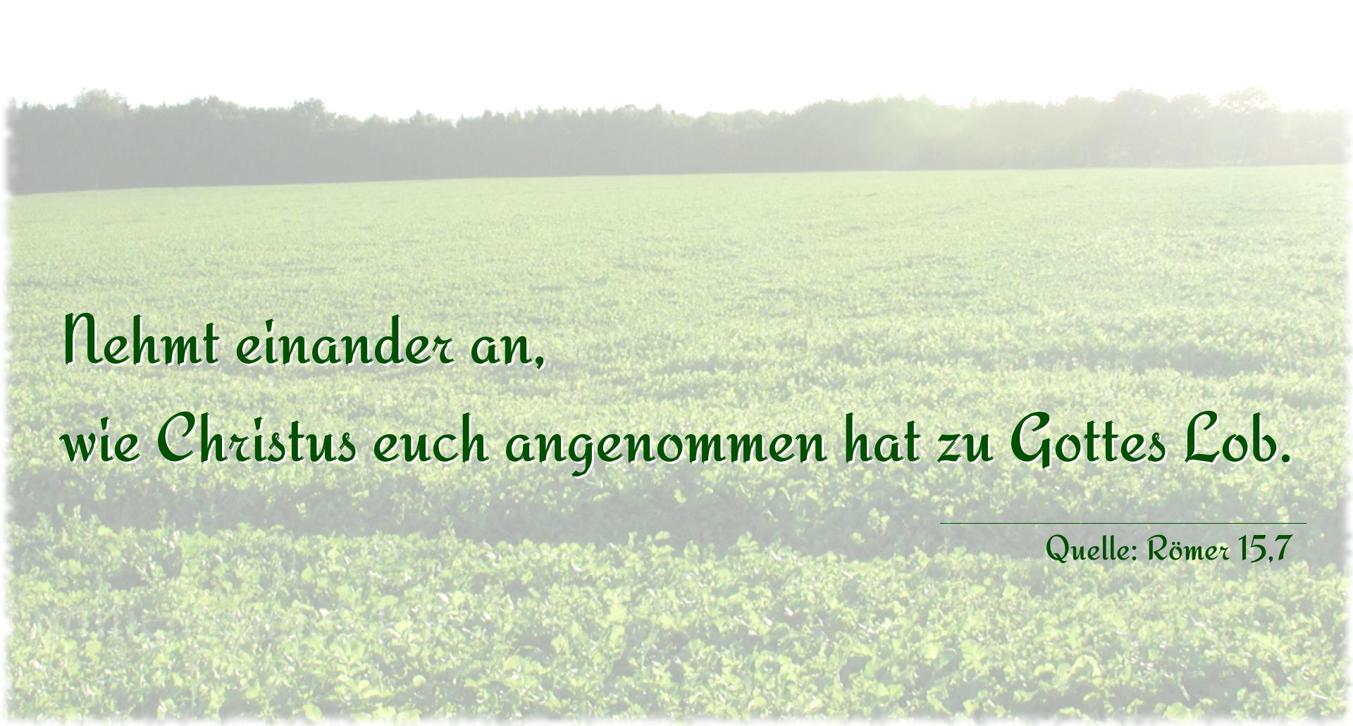 Voransicht Foto  zu Bild von Taufspruch  No. 218  (von Römer 15,7)