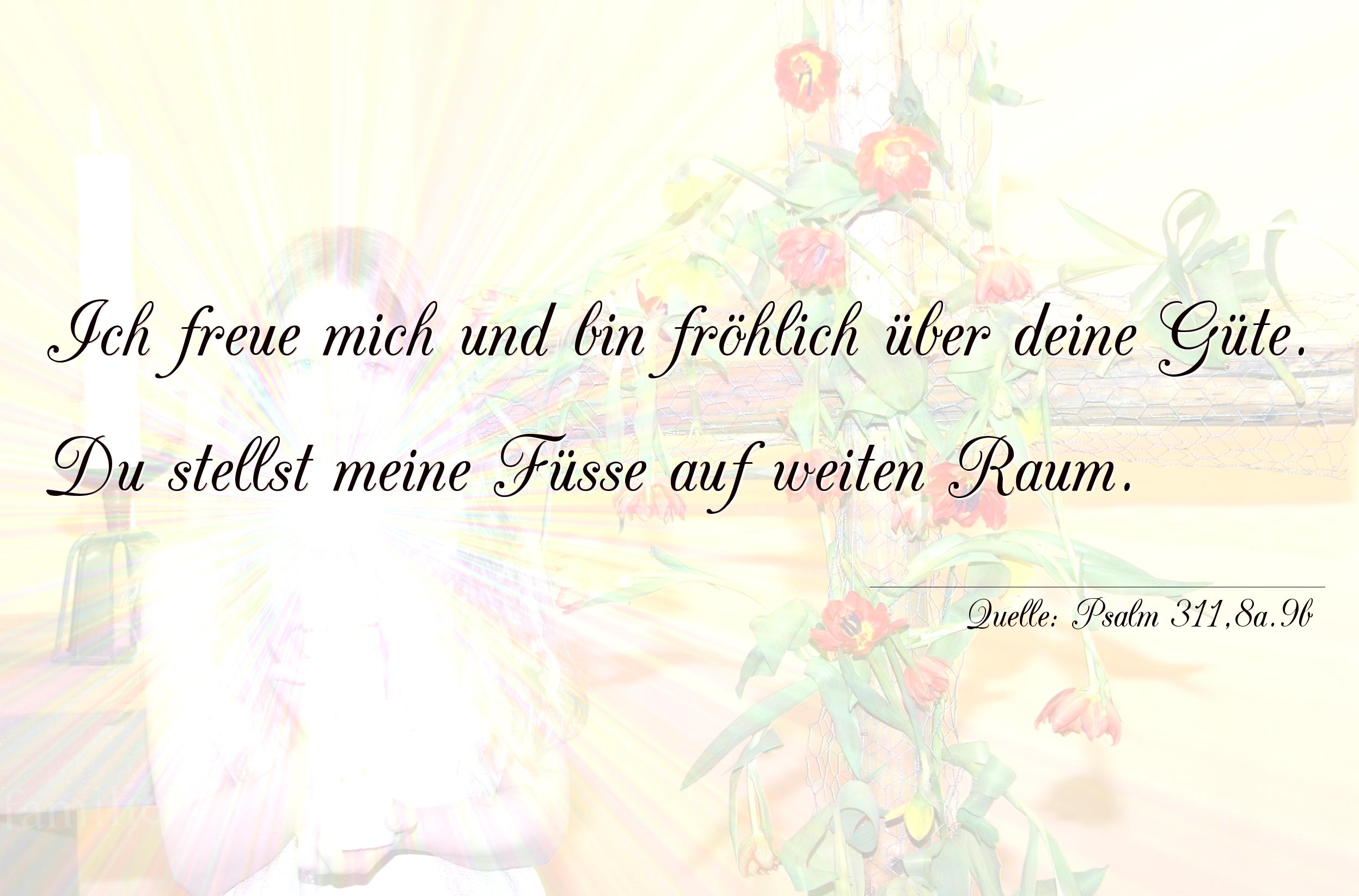 Vorschaubild  für Taufspruch  No. 237  (von Psalm 311,8a.9b)