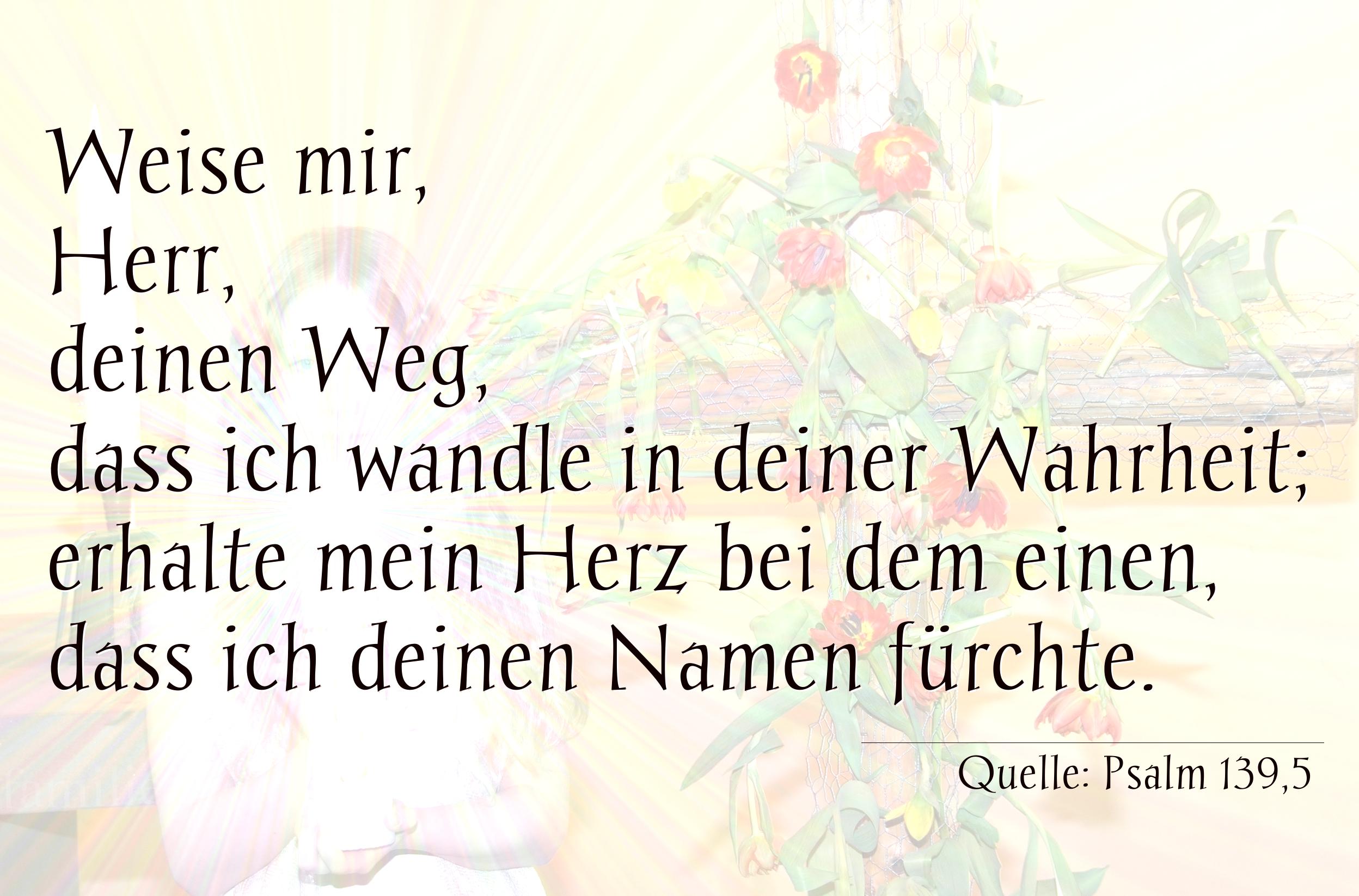 Taufspruch Nr. 254, Quelle Psalm 139,5