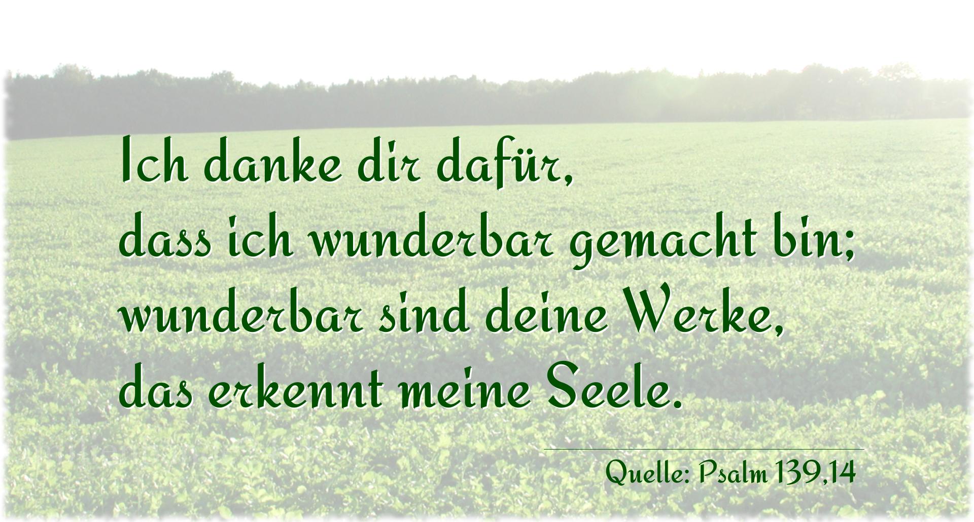 Taufspruch Nr. 255 (von Psalm 139,14): Ich danke dir dafür,
dass ich wunderbar gemacht bin;
wund [...]