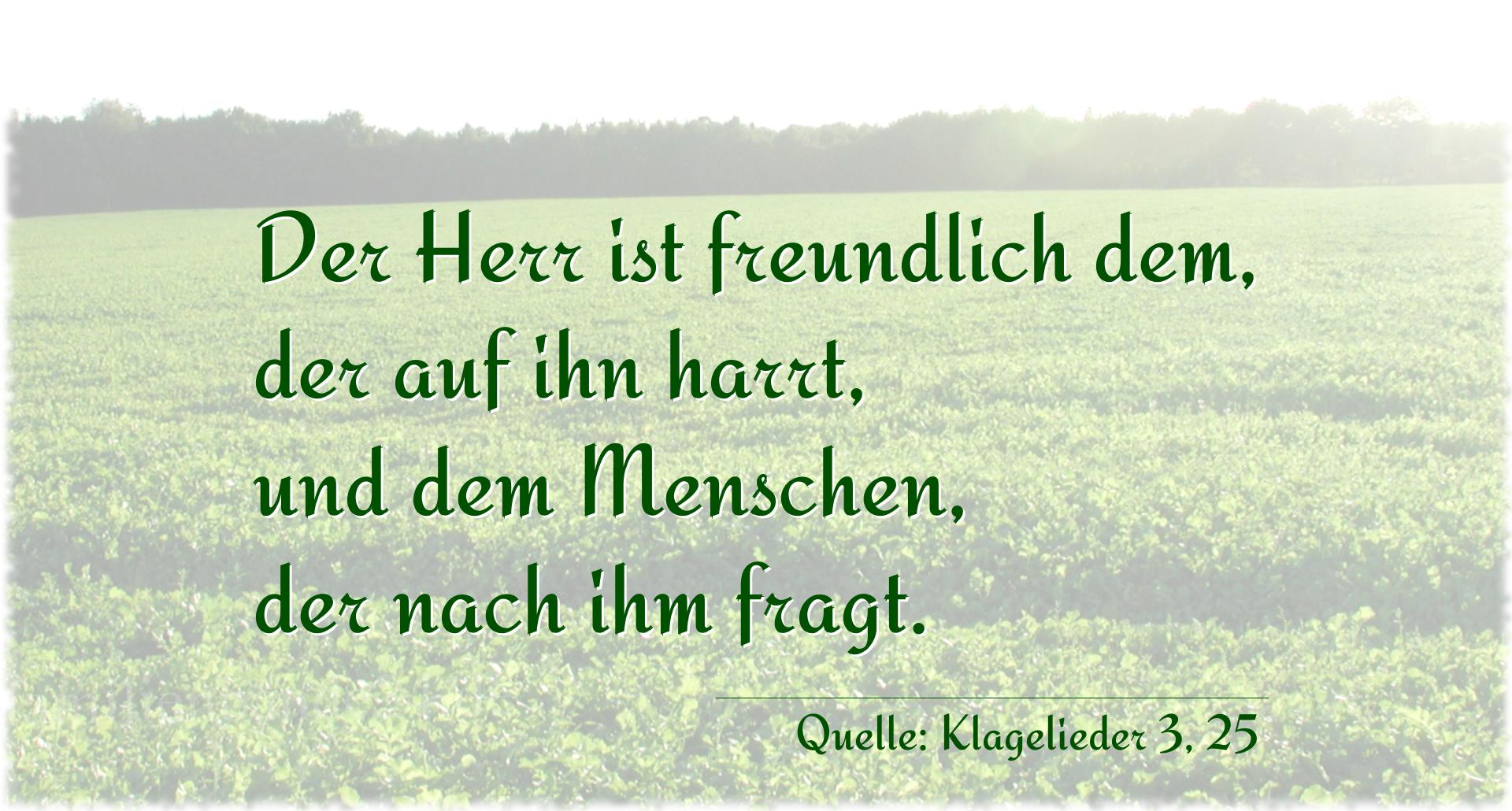 Taufspruch Nr. 257 (von Klagelieder 3, 25): Der Herr ist freundlich dem, der auf ihn harrt, und dem Me [...]