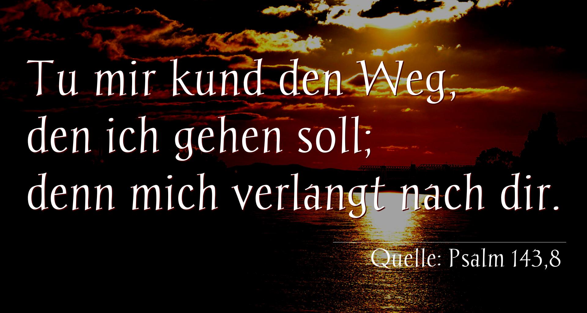 Taufspruch Nr. 258 (von Psalm 143,8): Tu mir kund den Weg, den ich gehen soll; denn mich verlang [...]