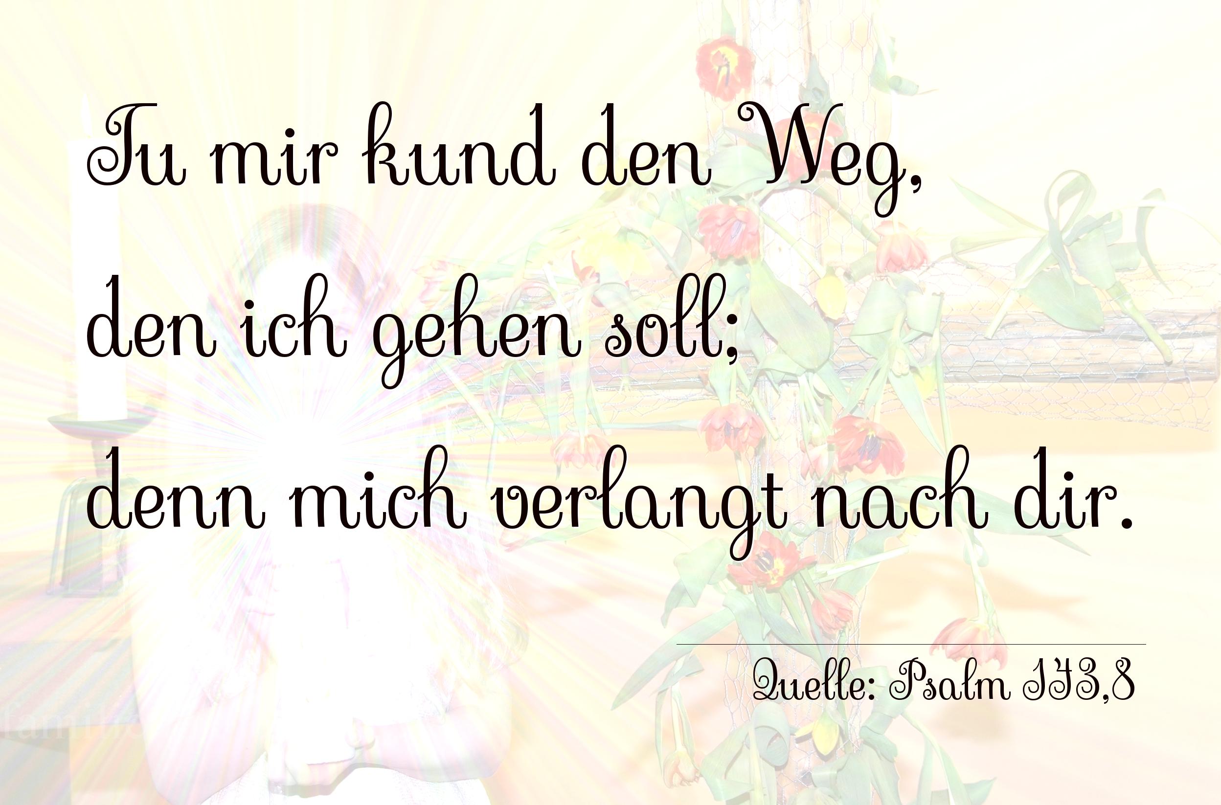 Taufspruch Nr. 258 (von Psalm 143,8): Tu mir kund den Weg, den ich gehen soll; denn mich verlang [...]