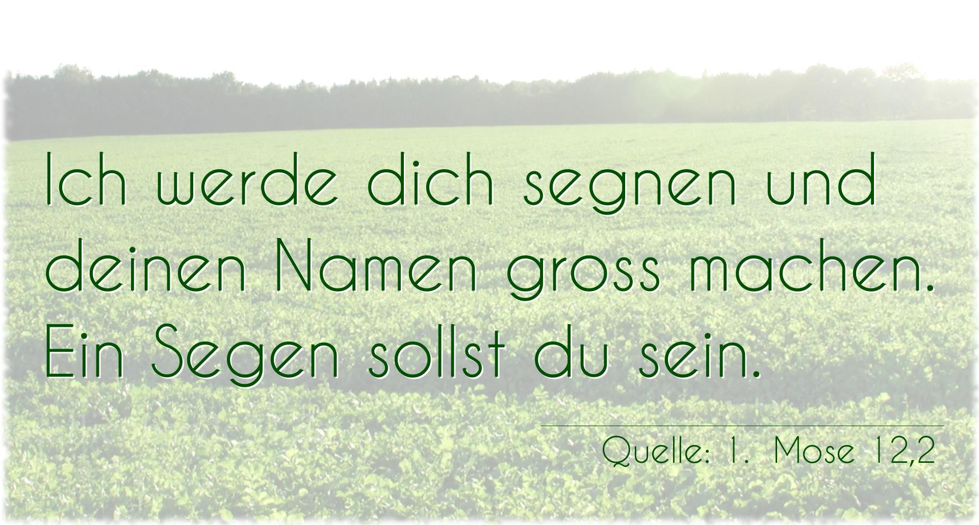 Taufspruch Nummer 259 (von 1.  Mose 12,2): Ich werde dich segnen und deinen Namen groß machen. Ein S [...]