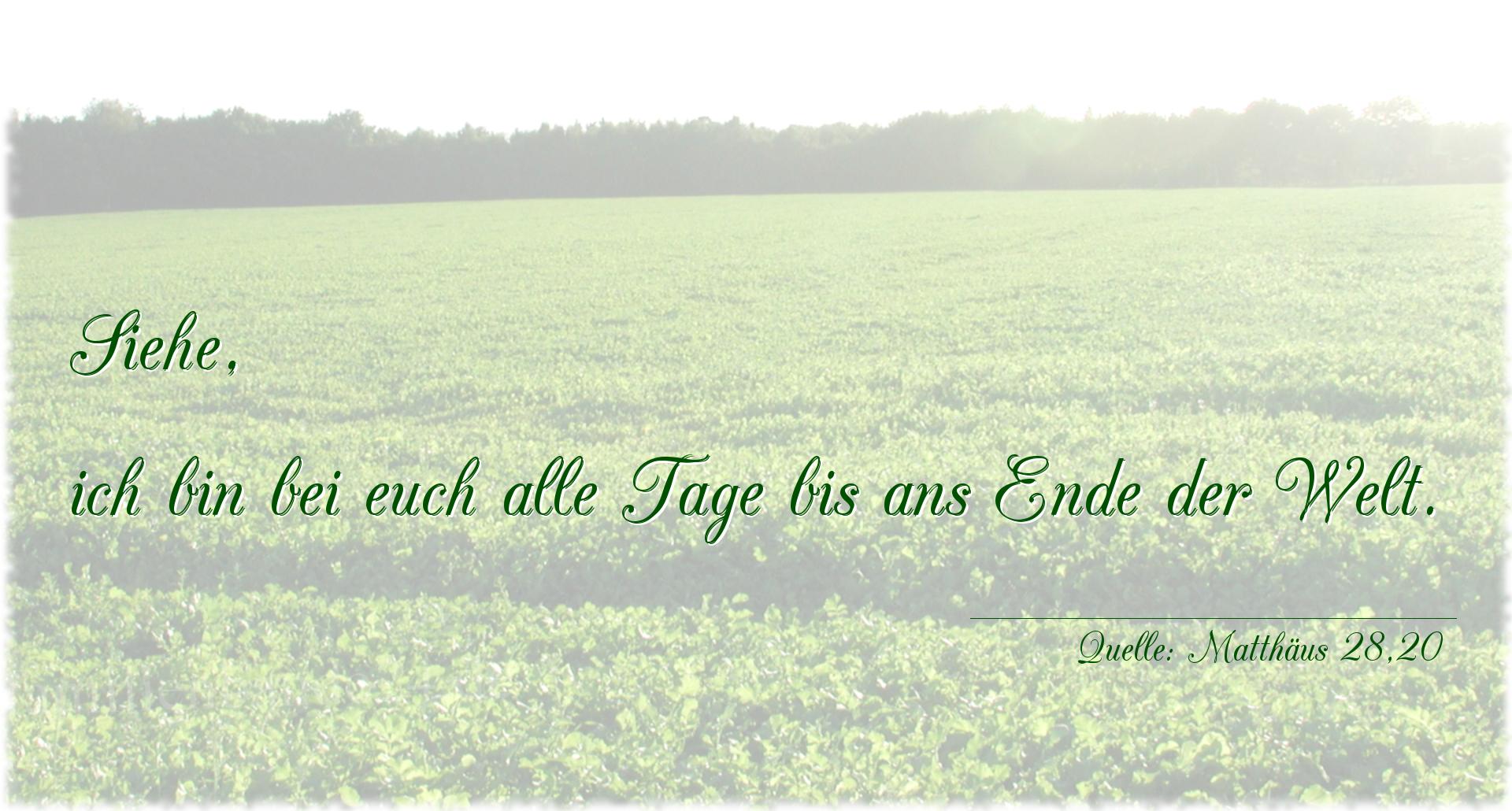 Taufspruch Nummer 298 (von Matthäus 28,20): Siehe, ich bin bei euch alle Tage bis ans Ende der Welt. 