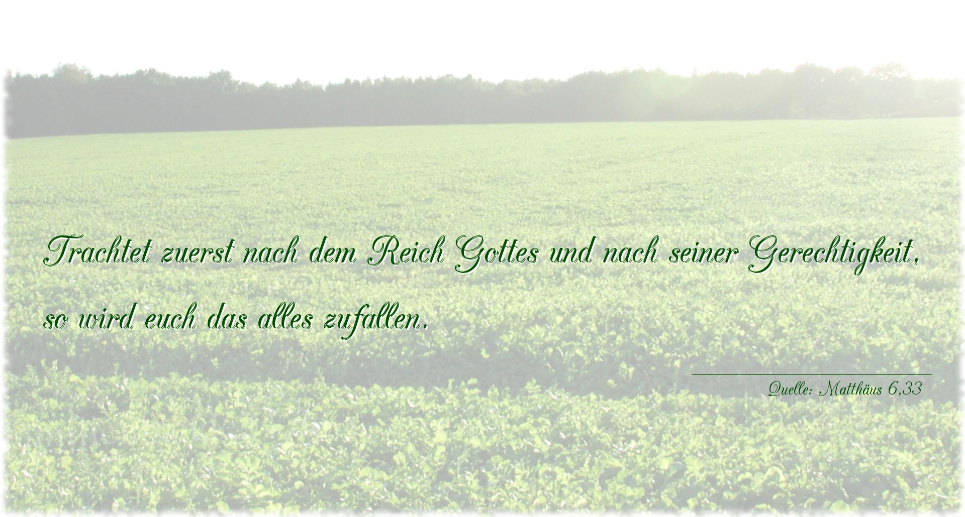 Taufspruch Nr. 304 (von Matthäus 6,33): Trachtet zuerst nach dem Reich Gottes und nach seiner Gere [...]