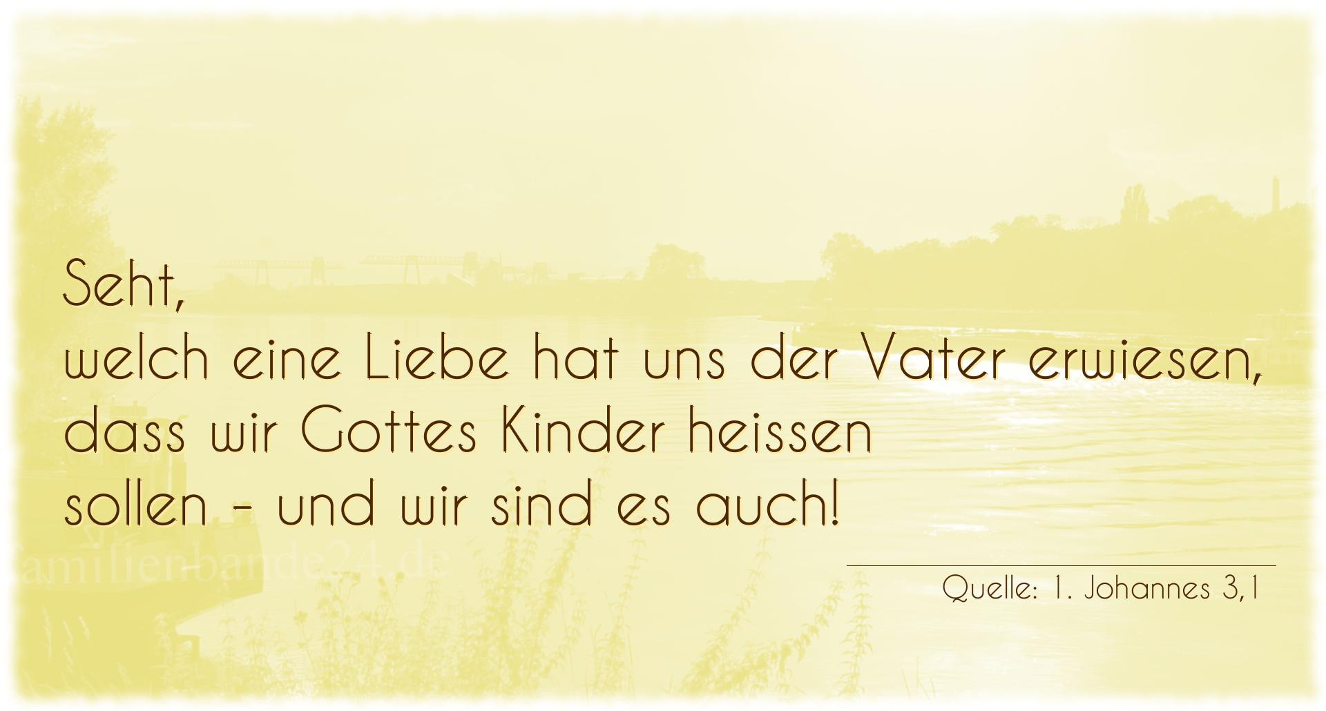 Taufspruch Nr. 313 (von 1. Johannes 3,1): Seht, welch eine Liebe hat uns der Vater erwiesen, dass wi [...]