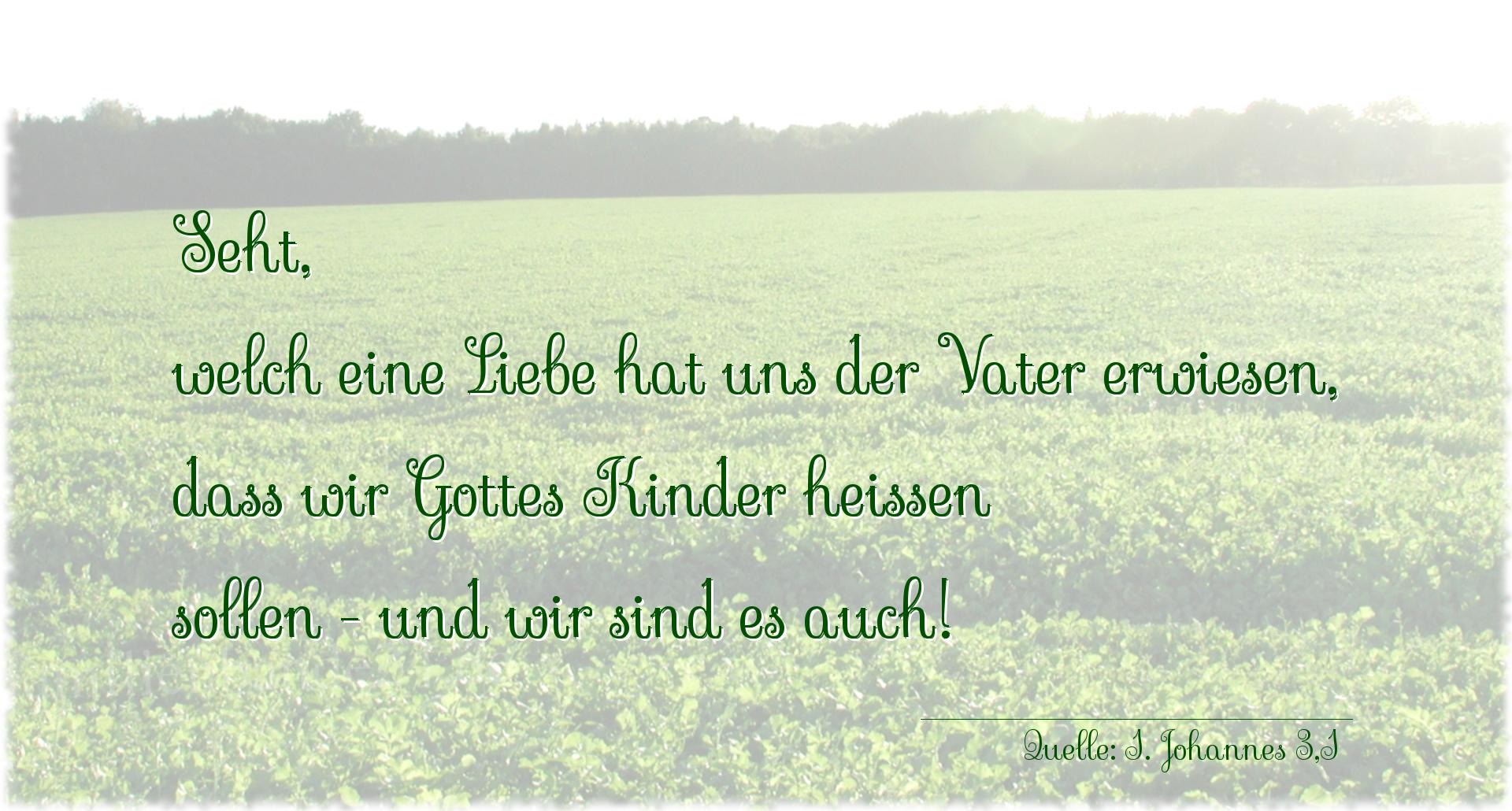 Vorschaubild  zu Taufspruch  No. 313  (von 1. Johannes 3,1)