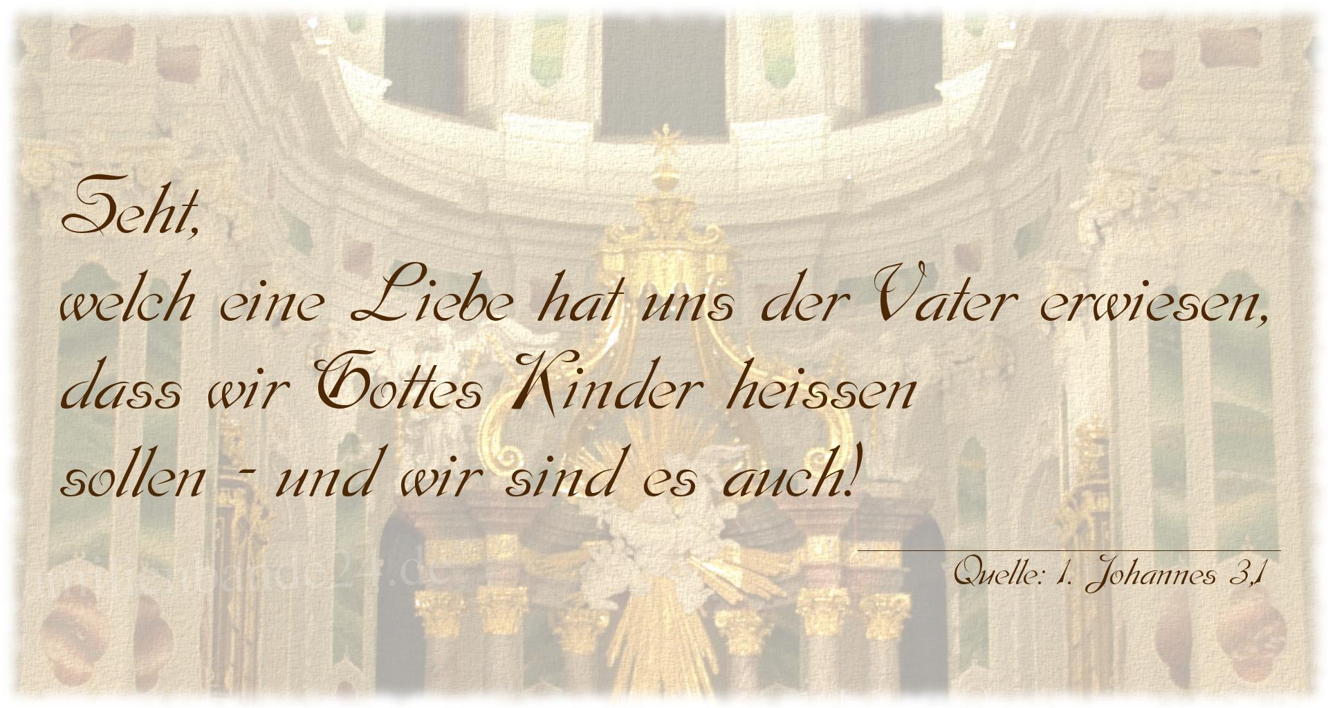 Taufspruch Nr. 313, Quelle 1. Johannes 3,1