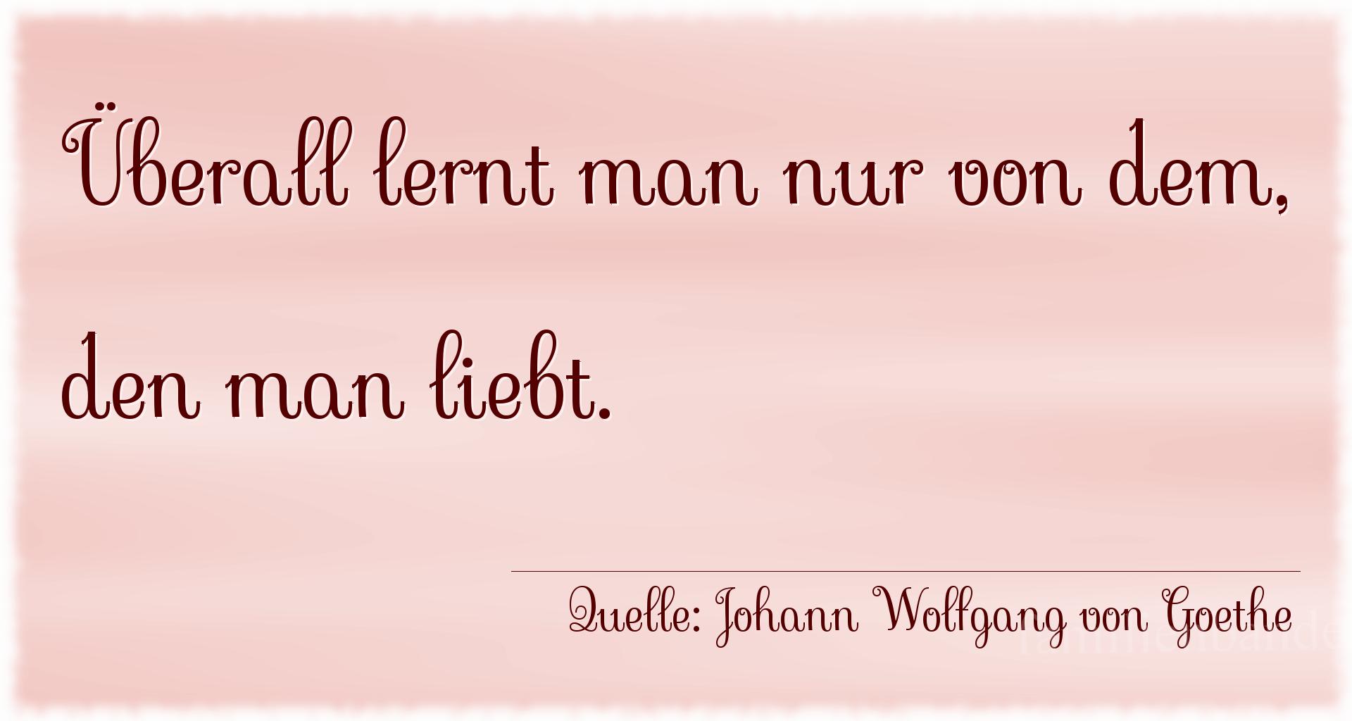 Spruch Nr. 360 (von Johann Wolfgang von Goethe): Überall lernt man nur von dem, den man liebt. 