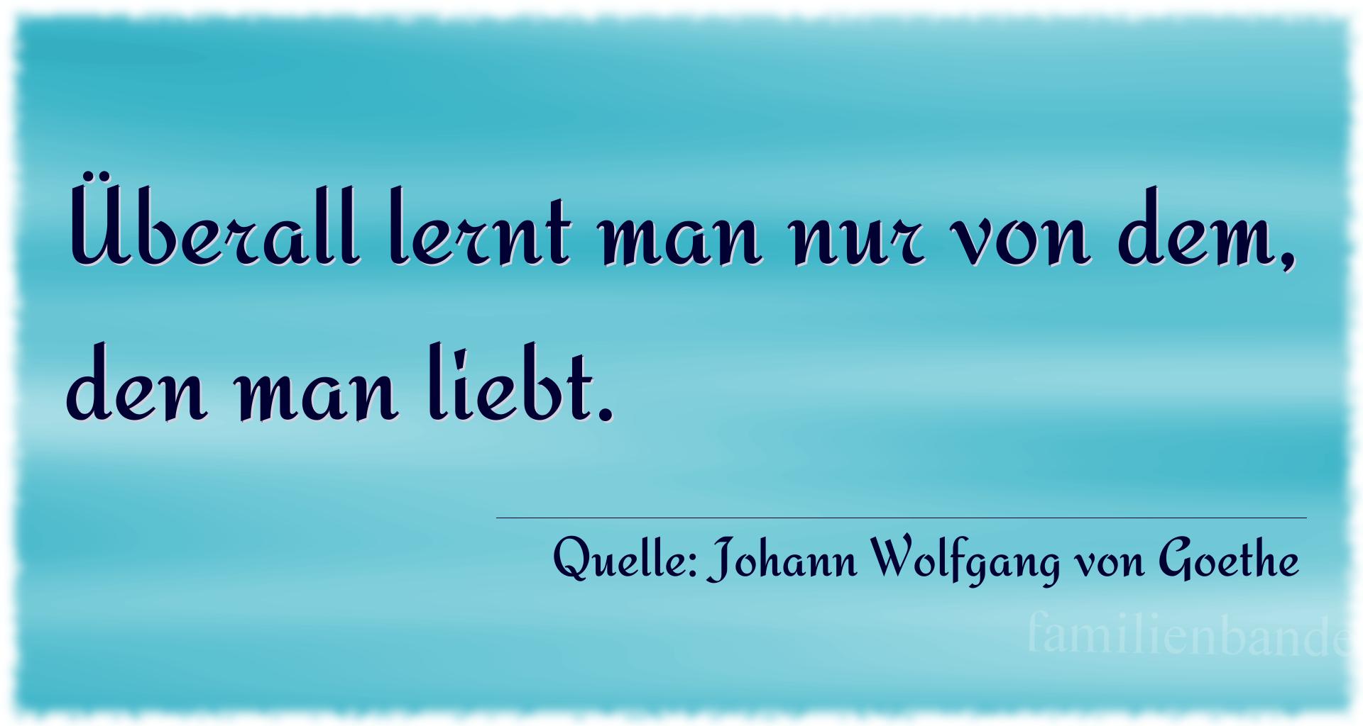 Spruch Nummer 360 (von Johann Wolfgang von Goethe): Überall lernt man nur von dem, den man liebt. 