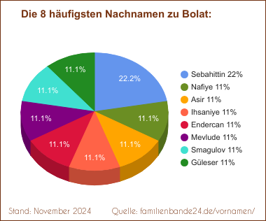 Die häufigsten Nachnamen zu Bolat als Tortendiagramm