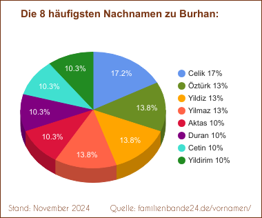 Burhan: Die häufigsten Nachnamen als Tortendiagramm