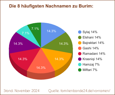 Die häufigsten Nachnamen zu Burim als Tortendiagramm