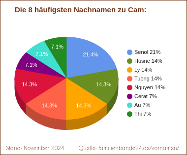 Tortendiagramm zu den häufigsten Nachnamen für Cam