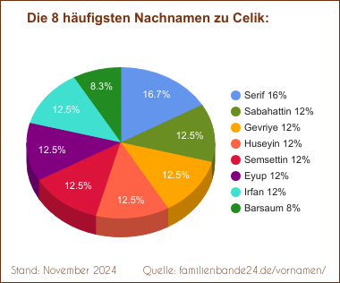 Die häufigsten Nachnamen zu Celik als Tortendiagramm