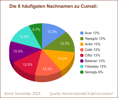 Die häufigsten Nachnamen zu Cumali als Tortendiagramm