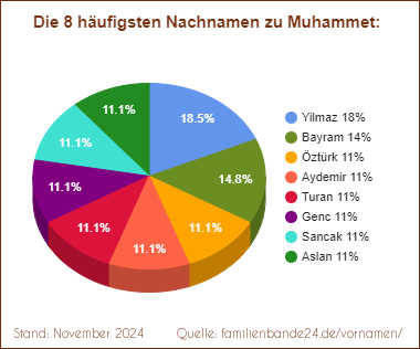 Die häufigsten Nachnamen zu Muhammet als Tortendiagramm