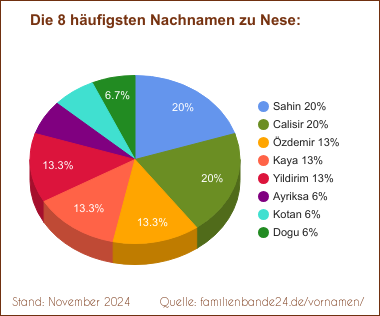 Tortendiagramm zu den häufigsten Nachnamen für Nese