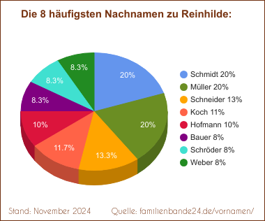 Die häufigsten Nachnamen zu Reinhilde als Tortendiagramm